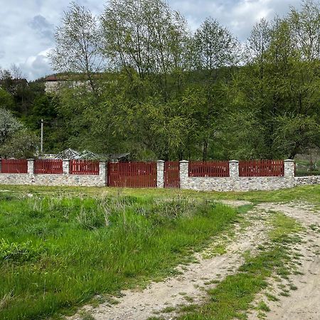 ホテル La Gradina Mehadija エクステリア 写真