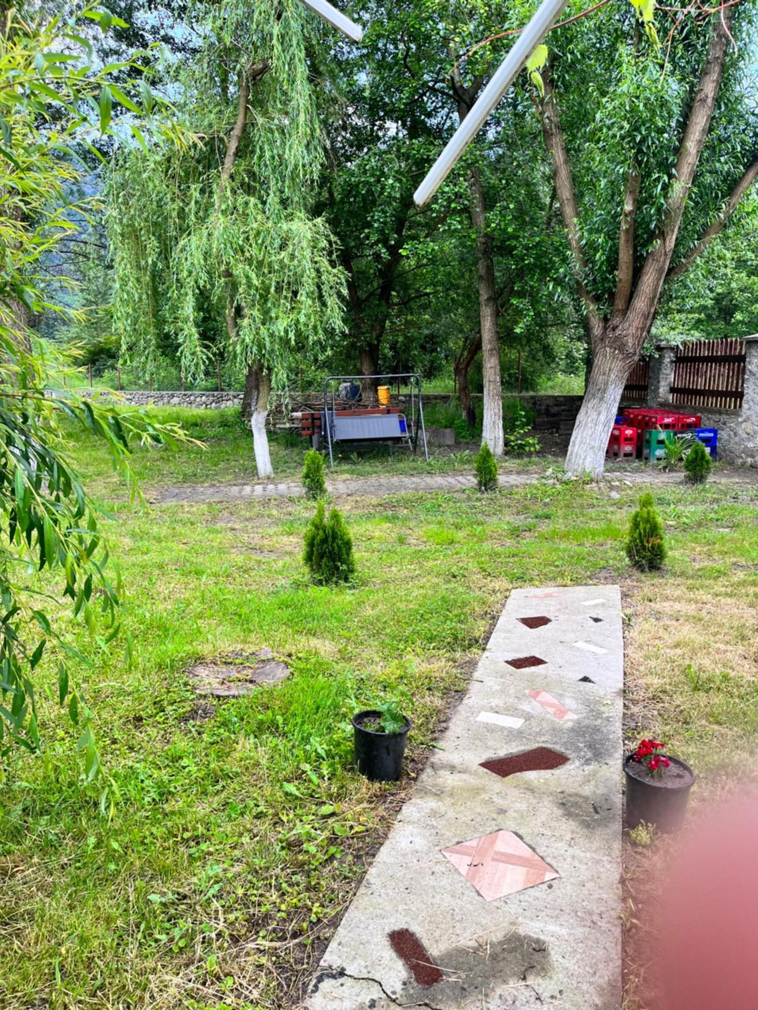 ホテル La Gradina Mehadija エクステリア 写真